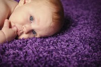 Orchid Carpet Cleaning 352420 Image 0